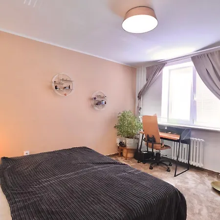 Shelter & Friends At Trnavske Myto