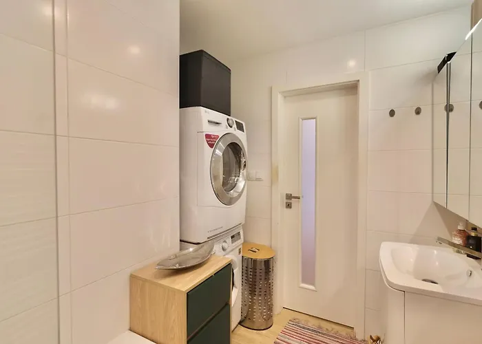 Shelter & Friends At Trnavske Myto